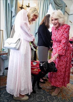 Image Licensed to Parsons Media. 12 05 2026. London, United Kingdom. The Queen- Reception for Medical Detection Dogs. Her Majesty The Queen, as Patron of Medical Detection Dogs, hosts a reception at Clarence House.  Copyright: xAndrewxParsonsx xParsonsxMediax PAR-9207-0016