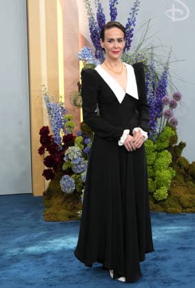 May 12, 2026, New York, Ny, USA: SARAH PAULSON attends the Disney Upfront 2026 Red Carpet Talent.The Javits Center, NYC.May 12, 2026. . Disney Upfront 2026 Red Carpet Talent.The Javits Center, NYC.May 12, 2026. . Disney Upfront 2026 Red Carpet Talent.The Javits Center, NYC.May 12, 2026. New York USA - ZUMAms4_ 20260512_faf_ms4_027 Copyright: xSoniaxMoskowitzxGordonx