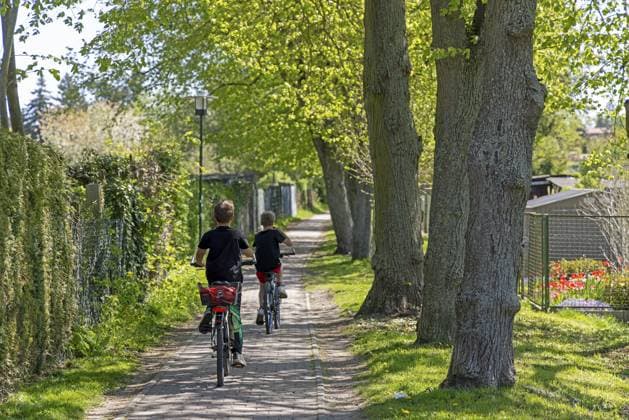 Fußweg, Bäume, Radfahrer, Kinder, Gransee, Brandenburg, Deutschland Footpath, trees, cyclists, children, Gransee, Brandenburg, Germany Copyright: imageBROKER SiegfriedxKuttig iblshg17682035.jpg