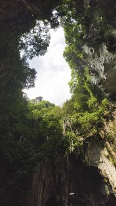 Blick von der Kalksteinhöhle Batu Caves mit üppiger tropischer Vegetation, die den Himmel umrahmt, Kuala Lumpur, Malaysia View looking up from inside Batu Caves limestone cavern with lush tropical vegetation framing sky opening, Kuala Lumpur, Malaysia Copyright: imageBROKER ibxhgi17637572.jpg