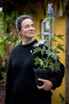 Chelsea Flower Show 15 05 2026 Gardener Frances Tophill pictured in The RHS and The King s Foundation Curious Garden at the RHS Chelsea Flower Show, in London.  Copyright: xJackxTaylorx NINTCHDBPICT001080984660
