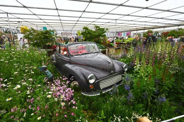 Press day opens for RHS Chelsea Flower Show LONDON, UNITED KINGDOM - MAY 18: A vintage car is displayed among flowers during the press day of the RHS Chelsea Flower Show in London, United Kingdom, on May 18, 2026, where various garden designs, live performances and promotional events were presented to members of the media. Rasid Necati Aslim Anadolu London United Kingdom. Editorial use only. Please get in touch for any other usage.  Copyright: x2026xAnadoluxRasidxNecatixAslimx