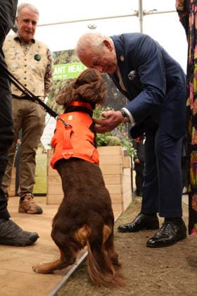 . 18 05 2026. London, United Kingdom. King Charles III and Queen Camilla at the Chelsea Flower Show in London.  xPoolx xi-Imagesx IIM-26784-0015