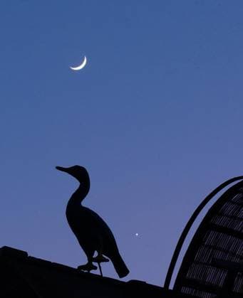(260519) -- HARBIN, May 19, 2026 -- A drone photo taken on May 19, 2026 shows the planet of Venus next to the moon in the twilight sky over Zhaodong, northeast China s Heilongjiang Province. (Photo by Xinhua) CHINA-HEILONGJIANG-SKY VIEW-MOON AND VENUS (CN) LiuxDapeng 