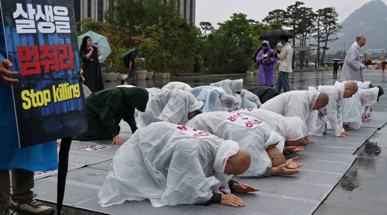 Buddhist monks, activists call for peace in the Middle East Monks of the Jogye Order and peace activists perform 108 prostrations in front of the US Embassy in Seoul, South Korea, on May 20, 2026. The demonstrators utilized the traditional Buddhist ritual to pray for an immediate end to the conflict in the Middle East and to advocate for global peace. Seoul South Korea  Copyright: xMatrixxImagesx xLeexSang-hoonx