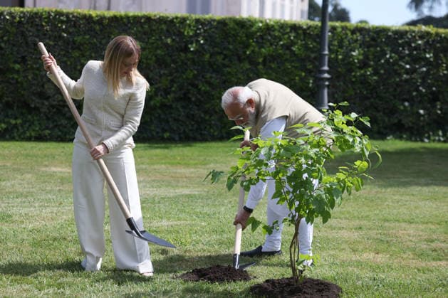 IPA84899066 - Rome, Italy May 20, 2026: Giorgia Meloni with Narendra Modi plant a black mulberry tree donated by Indian Prime Minister . Prime Minister Giorgia Meloni meets with Prime Minister of India Narendra Modi to further strengthen the strategic partnership between Italy and India at Villa Doria Pamphilj for a discussion on economy, innovation, energy and international cooperation.  Copyright: xmarcoxiacobuccix xmarcoxiacobuccix 84899066