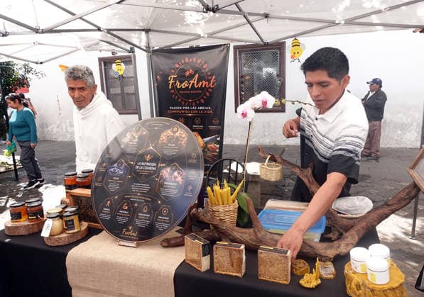CUENCA COLMENA FEST 2026 Cuenca,Ecuador May 20, 2026 The third edition of Colmena Fest 2026 is being held in the park of flowers in Cuenca from May 20 to 23, 2026 This gastronomic, handicraft and productive festival seeks to commemorate World Bee Day and promote sustainable beekeeping in the region photo Boris Romoleroux API SOI CUENCA COLMENAFEST2026 f6eb99125404fadaa9989447fdff3fad Copyright: xBORISxROMOLEROUXx