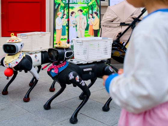 BEIJING, CHINA - MAY 20: Robotic dogs send flower bouquets to newly-wed couples at the marriage registration office during 520 I Love You Day on May 20, 2026 in Beijing, China. Chinese people celebrate 520 I Love You Day as 520 sounds like I love you in Chinese.  Copyright: xVCGx 111642848284