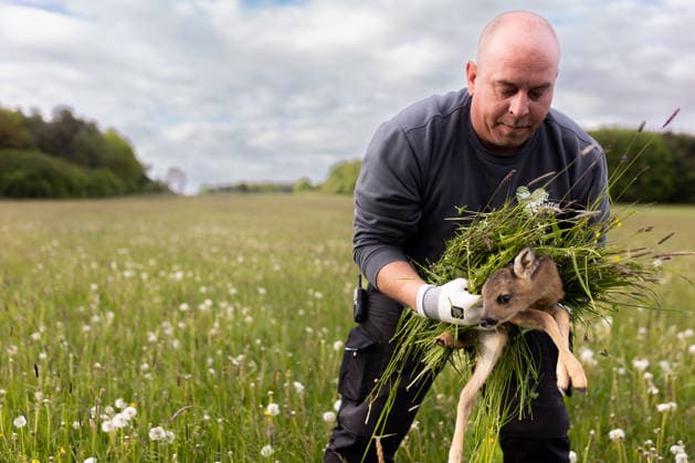Zollernalb, Kitzrettung mit dem Kitz-Retter Neckar-Alb e.V., 21.05.2026 Ein Helfer der Kitzretter hebt mit Gras zwischen den Haenden ein kleines Rehkitz aus einer Wiese die gemaeht werden soll *** Zollernalb, fawn rescue with the Kitz Retter Neckar Alb e V , 21 05 2026 A helper of the fawn rescuers lifts a small fawn with grass between his hands from a meadow that is to be mowed