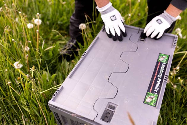 Zollernalb, Kitzrettung mit dem Kitz-Retter Neckar-Alb e.V., 21.05.2026 Ein kleines Rehkitz aus einer Wiese die gemaeht werden soll in eine Sicherheitsbox liegend *** Zollernalb, fawn rescue with the Kitz Retter Neckar Alb e V , 21 05 2026 A small fawn from a meadow that is to be mowed lying in a safety box