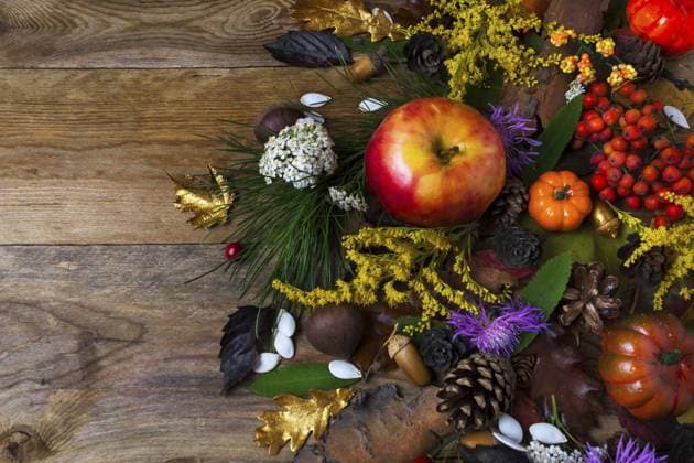 Thanksgiving Dekoration mit Kürbis, Äpfeln, Eichen, Beeren und Blumen auf Holztisch. Herbst Hintergrund mit Beeren und Früchten der Saison Thanksgiving decoration with pumpkin, apples, oaks, berries and flowers on wooden table. Fall background with seasonal berries and fruits Copyright: imageBROKER TasiPas ibxiqx17670042.jpg