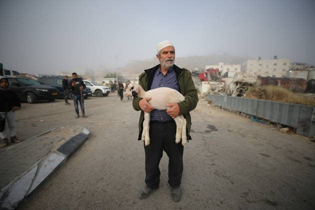 News Bilder des Tages Palestinians Shop for Livestock Ahead of Eid al-Adha in Hebron Palestinians gather at al-Hilal livestock market to buy and sell sheep ahead of Eid al-Adha in Hebron in the southern occupied West Bank, on May 22, 2026. Residents walked through livestock pens to check sacrificial animal prices and select sheep for the holiday. Hebron’s livestock market witnesses increased seasonal activity ahead of Eid al-Adha as Palestinian families prepare to observe the religious occasion. Photo by Mamoun Wazwaz apaimages Hebron West Bank Palestinian Territory 220526_Hebron_MW_01(7) Copyright: xapaimagesxMamounxWazwazx xapaimagesx