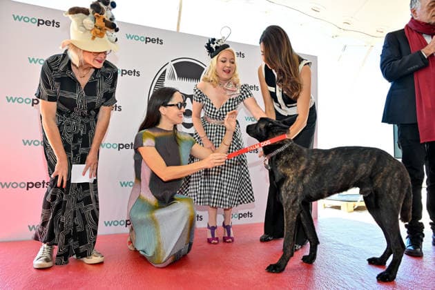 Cannes - Palm Dog Ceremony The dog Yuri, seen in the movie La Perra, wins the 2026 Palm Dog alongside director Dominga Sotomayor, the trainer, jury members and Toby Rose while attending the Palm Dog Ceremony ahead of the 79th Cannes Film Festival in Cannes, France on May 22, 2026. Photo by Julien Reynaud APS-Medias ABACAPRESS.COM Cannes France  Copyright: xReynaudxJulien APS-Medias ABACAx