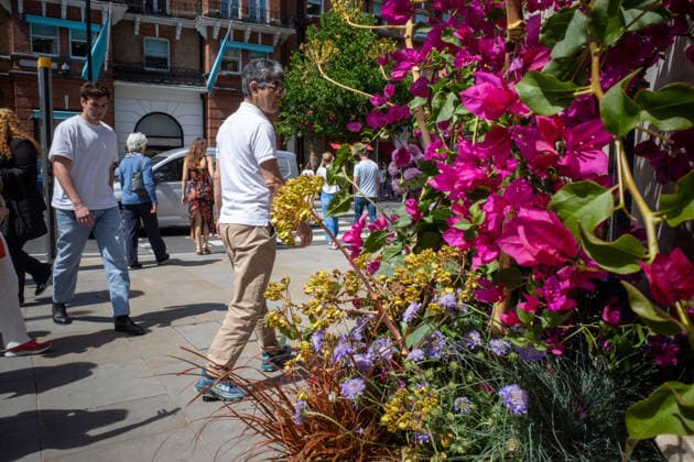 RHS Chelsea Flower Show in London, UK - 22 May 2026 Members of the public inspect floral displays during the RHS Chelsea Flower Show. After several days of unsettled weather, large crowds gathered along Sloane Street and the surrounding areas on the penultimate day of the 2026 RHS Chelsea Flower Show to view the elaborate floral displays created for the annual event. Visitors lined the streets of Chelsea as retailers, hotels and restaurants unveiled large-scale made from fresh flowers and plants, continuing a tradition that has become closely associated with the world-famous horticultural show. London United Kingdom Copyright: xJamesxWilloughbyx xSOPAxImagesx JWILLOUGHBY_2760