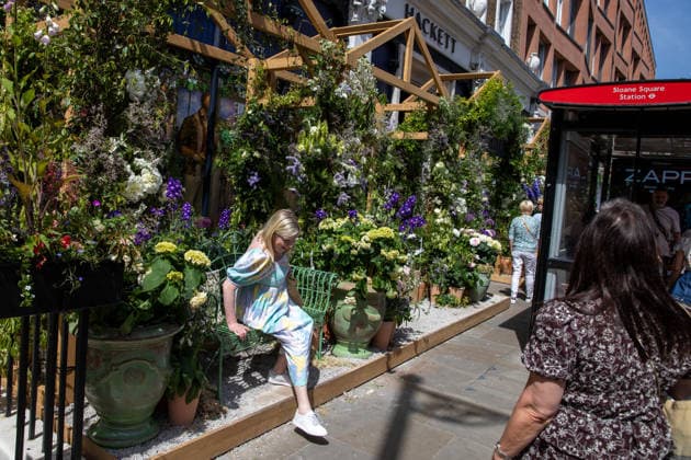 May 22, 2026, London, United Kingdom: A member of the public poses for photographs in-front of floral displays during the RHS Chelsea Flower Show. After several days of unsettled weather, large crowds gathered along Sloane Street and the surrounding areas on the penultimate day of the 2026 RHS Chelsea Flower Show to view the elaborate floral displays created for the annual event. Visitors lined the streets of Chelsea as retailers, hotels and restaurants unveiled large-scale made from fresh flowers and plants, continuing a tradition that has become closely associated with the world-famous horticultural show. London United Kingdom - ZUMAs197 20260522_aaa_s197_017 Copyright: xJamesxWilloughbyx