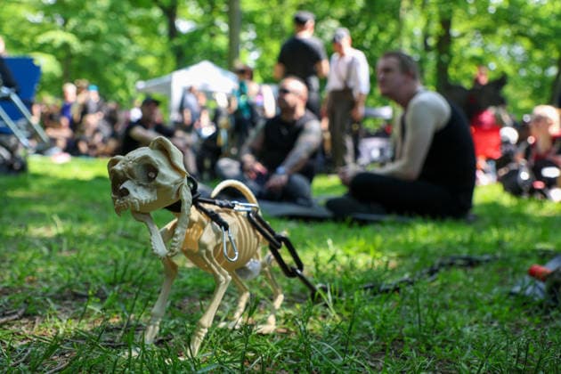 Leipzig - WGT startet bei sommerlichen Temperaturen und Sonnenschein: Hunderte treffen sich beim Viktorianisches Picknick zum Wave Gotik Treffen 22.05.2026 ab 14 Uhr Leipzig, Clara-Zetkin-Park Bei strahlendem Sonnenschein und sommerlichen Temperaturen verwandelte sich der Clara-Zetkin-Park am Freitag erneut in eine Szenerie wie aus einer anderen Epoche: Zum traditionellen Viktorianischen Picknick kamen Hunderte Besucher des Wave-Gotik-Treffen dicht gedrängt in aufwendigen Gewändern zusammen. Korsetts, Fräcke, Zylinder und Spitze bestimmten das Bild ein Fest der Ästhetik und Individualität mitten im Grünen. Das Picknick gilt als inoffizieller Auftakt des viertägigen Festivals, das jedes Jahr Zehntausende Anhänger der schwarze Copyright: xEHLxMedia BjörnxStachx 20260522_viktorianisches-picknick-wgt-leipzig_25