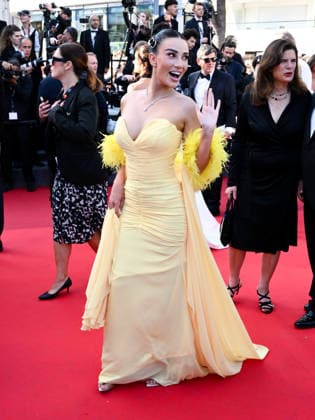 IPA84975232 - Cannes, 79th Cannes Film Festival 2026 - evening 11. Red Carpet HISTOIRES DE LA NUIT (THE BIRTHDAY PARTY). Pictured: Guest  Copyright: xTerenghi Ipa-Agency.netx xPoolxPhotoxEventsx07x 84975232