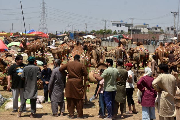 (260522) -- LAHORE, May 22, 2026 -- People visit a livestock market ahead of the Eid al-Adha in Lahore, Pakistan on May 22, 2026. (Photo by Xinhua) PAKISTAN-LAHORE-EID AL-ADHA-MARKET Sajjad 