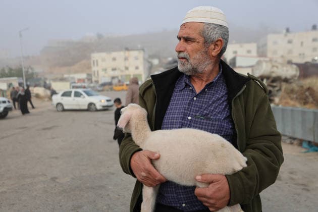 Hebron Livestock Market Before Eid Palestinians gather at a livestock market after crossing Israeli military checkpoints in Hebron on May 22, 2026, ahead of the Muslim holiday of Eid al-Adha. The holiday, during which sheep, camels and cows are traditionally slaughtered, is approaching as buyers and traders gather to buy and sell sacrificial animals. Hebron West Bank Palestinian Territories Copyright: xMosabxShawerx