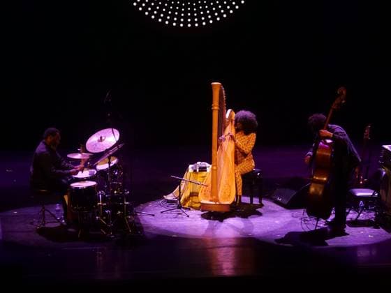 RECORD DATE NOT STATED American singer Brandee Younger will perform at the C6 Fest in the Ibirapuera Auditorium in Sao Paulo. Sao Paulo (SP), 05 22 2026 Music C6 Fest 2026 American harpist Brandee Younger performs during C6 Fest 2026, at the Ibirapuera Auditorium, in Sao Paulo, this Friday (22). Recognized for mixing contemporary jazz, soul and experimental music, the artist is one of the highlights of the festival s program.(Foto: Fabricio Bomjardim Thenews2 imago images) American singer Brandee Younger will perform at the C6 Fest in the Ibirapuera Auditorium in Sao Paulo.  Copyright: xFabricioxBomjardimx