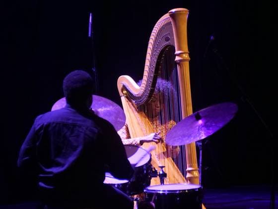 RECORD DATE NOT STATED American singer Brandee Younger will perform at the C6 Fest in the Ibirapuera Auditorium in Sao Paulo. Sao Paulo (SP), 05 22 2026 Music C6 Fest 2026 American harpist Brandee Younger performs during C6 Fest 2026, at the Ibirapuera Auditorium, in Sao Paulo, this Friday (22). Recognized for mixing contemporary jazz, soul and experimental music, the artist is one of the highlights of the festival s program.(Foto: Fabricio Bomjardim Thenews2 imago images) American singer Brandee Younger will perform at the C6 Fest in the Ibirapuera Auditorium in Sao Paulo.  Copyright: xFabricioxBomjardimx