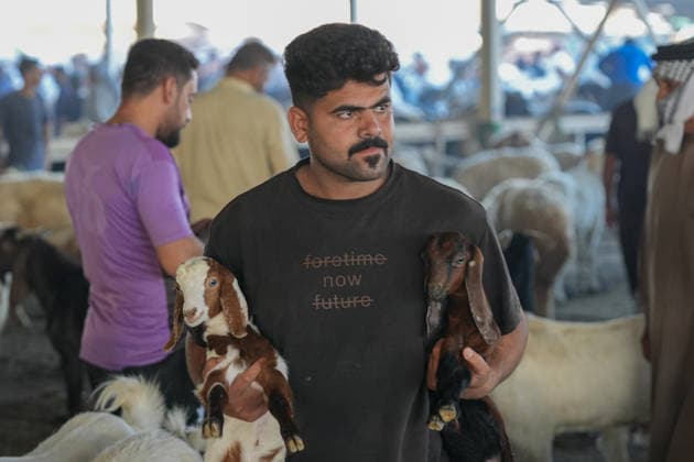 Bustling livestock markets in Baghdad witness rush ahead of Eid al-Adha BAGHDAD, IRAQ - MAY 23: Owners bring their livestock to a cattle and sheep market ahead of the upcoming Eid al-Adha in the Nahrawan region southeast of Baghdad, Iraq, on May 23, 2026. Murtadha Al-Sudani Anadolu Baghdad Iraq. Editorial use only. Please get in touch for any other usage.  Copyright: x2026xAnadoluxMurtadhaxAl-Sudanix