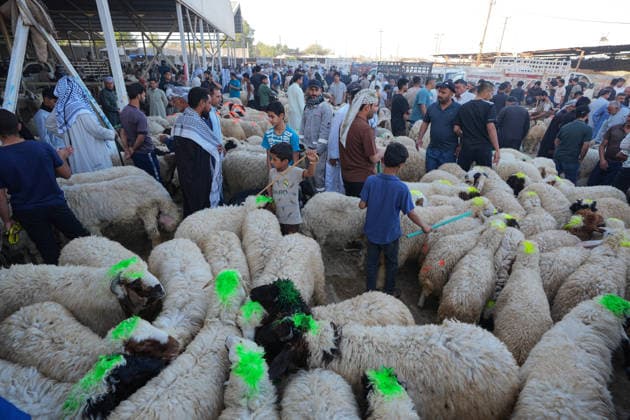 Bustling livestock markets in Baghdad witness rush ahead of Eid al-Adha BAGHDAD, IRAQ - MAY 23: Citizens inspect livestock at a cattle and sheep market ahead of the upcoming Eid al-Adha in the Nahrawan region southeast of Baghdad, Iraq, on May 23, 2026. Murtadha Al-Sudani Anadolu Baghdad Iraq. Editorial use only. Please get in touch for any other usage.  Copyright: x2026xAnadoluxMurtadhaxAl-Sudanix