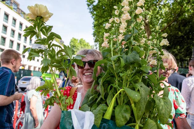 May 23, 2026, London, United Kingdom: A visitor to the last day of the RHS Chelsea Flower Show stands holding two plants. Members of the public leave the Chelsea Flower Show carrying flowers, plants, and garden ornaments purchased from the exhibition displays on the event™s final day. As the famous horticultural showcase drew to a close, visitors were seen transporting blooms, shrubs and decorative items through the streets of Chelsea after buying pieces from the award-winning gardens and floral exhibits. London United Kingdom - ZUMAs197 20260523_aaa_s197_502 Copyright: xJamesxWilloughbyx