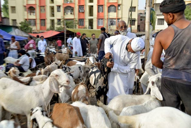Livestock vendors sell their goats at a Bakri bazaar ahead of the Eid al-Adha festival Patna, May 24 (ANI): Livestock vendors wait for customers to sell their goats at a Bakri bazaar ahead of the Eid al-Adha festival, in Patna on Sunday. Patna Bihar India Copyright: xANIx ANI_20260524054