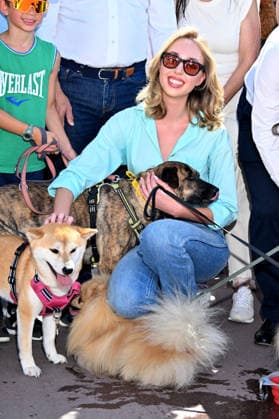 On the initiative of Henry Jean Servat, the journalist, writer and deputy mayor of Nice in charge of animal protection, the 5th Marche des Animaux took place on the Promenade des Anglais in Nice on May 24, 2026. This years patron was Princess Maria Chiara de Bourbon des Deux Siciles, in the presence of Eric Ciotti, mayor of Nice and president of the Union des Droites pour République, the mayor of Nice and president of the Union des Droites pour la République At the end of the route, the Negresco hotel invited all participants to go down to the beach at the Dog Bar set up for the occasion. Hundreds of people came along with their favorite animals An initiative for animal welfare For several years now, the city of Nice has pursued a pet-frie  Copyright: xBrunoxBebertx xBestimagexBrunoxBebertx xBestimagex
