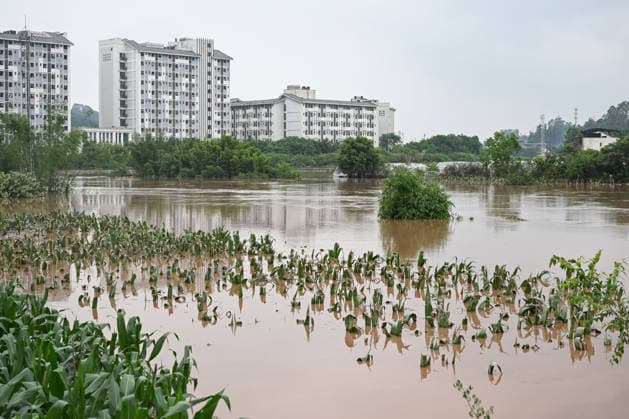 CHONGQING, CHINA - MAY 24: Crops are submerged after extreme rainfalls trigger flash floods and geological disasters on May 24, 2026 in Yongchuan District, Chongqing City, China. Devastating rainstorms struck parts of Southwest China s Chongqing over the weekend, resulting in multiple casualties and missing people in the municipality s Yongchuan and Beibei districts. Rescue efforts are ongoing. As of 2:30 pm on May 24, local authorities reported three deaths and 17 people missing in Yongchuan, with another two people missing in Beibei.  Copyright: xChinaxNewsxServicex 111643812966
