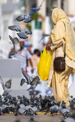 Muslim pilgrims gather in Mina, near Mecca, to spend the Day of Tarwiyah, the first day of the annual Hajj pilgrimage, in Saudi Arabia Muslim pilgrims gather in Mina, near Mecca, to spend the Day of Tarwiyah, the first day of the annual Hajj pilgrimage, in Saudi Arabia, on May 25, 2026. Millions of Muslims from around the world travel to Saudi Arabia to perform the annual Hajj pilgrimage. Photo by Saudi Press Agency apaimages Saudi Arabia 250526_Saudi_Arabia_SPA_01(5) Copyright: xapaimagesxSaudixPressxAgencyx xapaimagesx