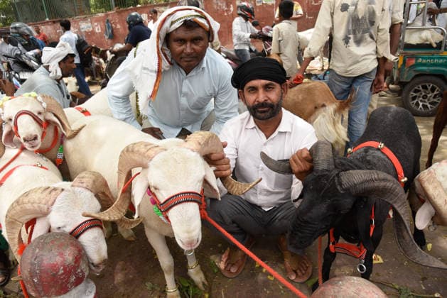 Eid-Ul Addha Goat Market at Jama Masjid Delhi A make-shift goat market comes up near the historic Jama Masjid in Delhi aweek before Eid-Ul Addha. customers to purchase goats ahead of Eid - a commemoration that involves a sacrifice to honour the legacy of the Islamic prophet Abraham who according to tradition was willing to sacrifice his son Ishmael as an act of obedience to God when the angel Gabriel intervened and instead replaced his son with a ram. Delhi Delhi India Copyright: xSondeepxShankarx