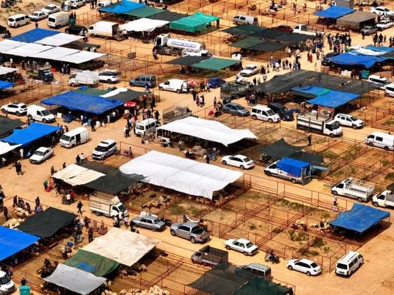 Preparations continue at livestock markets in Gaziantep ahead of Eid al-Adha GAZIANTEP, TURKIYE - MAY 25: An aerial view of livestock markets ahead of Eid al-Adha in Gaziantep, Turkiye on May 25, 2026. Omer Faruk Salman Anadolu Gaziantep Turkey. Editorial use only. Please get in touch for any other usage.  Copyright: x2026xAnadoluxOmerxFarukxSalmanx