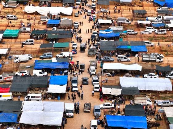 Preparations continue at livestock markets in Gaziantep ahead of Eid al-Adha GAZIANTEP, TURKIYE - MAY 25: An aerial view of livestock markets ahead of Eid al-Adha in Gaziantep, Turkiye on May 25, 2026. Omer Faruk Salman Anadolu Gaziantep Turkey. Editorial use only. Please get in touch for any other usage.  Copyright: x2026xAnadoluxOmerxFarukxSalmanx