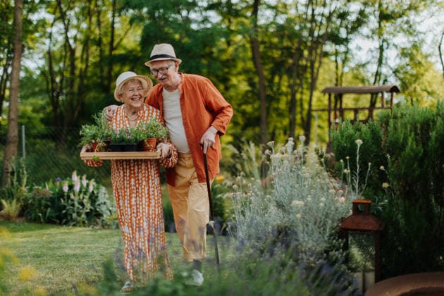 Senior couple working in garden during spring day. Senior couple working in garden during spring day. Hobby for elderly. model released