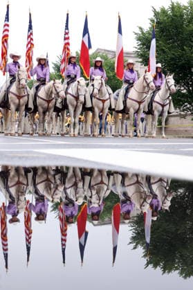 May 25, 2026, Washington, District Of Columbia, USA: Members of the Six White Horses team from Hardin-Simmons University take part in the National Memorial Day Parade on Constitution Avenue in Washington, DC, USA, on May 25, 2026. The parade has been held annually since 2005, marking its 21st anniversary. Washington USA  - ZUMAs337 20260525_znp_s337_033 Copyright: xGentxShkullakux
