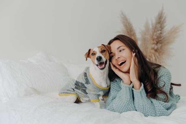 Eine junge Frau kuschelt mit einem Jack-Russell-Terrier auf einem weißen Bett in einem gemütlichen Schlafzimmer Eine junge Frau kuschelt mit einem Jack-Russell-Terrier auf einem weißen Bett in einem gemütlichen Schlafzimmer (License=RF) ,model released, Symbolfoto Copyright: xZoonar.com ViorelxKurnosovx 25096475 ,model released, Symbolfoto ,property released