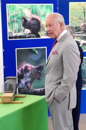 King Charles III Visits North Yorkshire YORK, ENGLAND - MAY 26: King Charles III during his visit to the Animal Plant and Health Agency on May 26, 2026 in York, England. During his visit, the King learnt about the agency s efforts to control the grey squirrel population through oral contraception, with the aim of supporting the endangered red squirrel species in the United Kingdom., Credit:Dominic Lipinski PA ROTA - B68 Avalon United Kingdom, England, York  Copyright: xDominicxLipinskix xPAxROTAx-xB68x xAvalonx 1105764046
