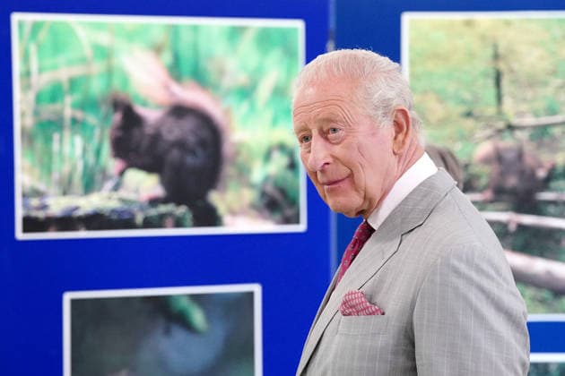 King Charles III Visits North Yorkshire YORK, ENGLAND - MAY 26: King Charles III during his visit to the Animal Plant and Health Agency on May 26, 2026 in York, England. During his visit, the King learnt about the agency s efforts to control the grey squirrel population through oral contraception, with the aim of supporting the endangered red squirrel species in the United Kingdom., Credit:Dominic Lipinski PA ROTA - B68 Avalon United Kingdom, England, York  Copyright: xDominicxLipinskix xPAxROTAx-xB68x xAvalonx 1105764069