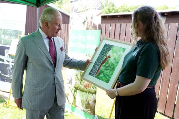 King Charles III Visits North Yorkshire YORK, ENGLAND - MAY 26: King Charles III is shown a photograph of a red squirrel during his visit to the Animal Plant and Health Agency on May 26, 2026 in York, England. During his visit, the King learnt about the agency s efforts to control the grey squirrel population through oral contraception, with the aim of supporting the endangered red squirrel species in the United Kingdom., Credit:Dominic Lipinski PA ROTA - B68 Avalon United Kingdom, England, York  Copyright: xDominicxLipinskix xPAxROTAx-xB68x xAvalonx 1105764216