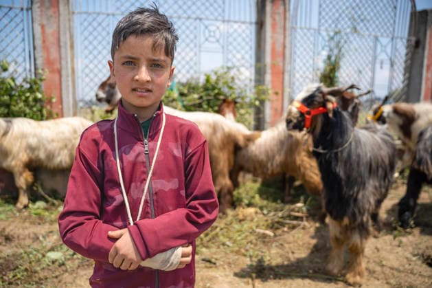 May 26, 2026, Srinagar, India: A young boy seen standing in front of sacrificial animals while waiting for customers at a livestock market ahead of Eid al-Adha.. Eid al-Adha, also known as Bakr Eid or the Festival of Sacrifice, is an important Islamic festival that honours Prophet Ibrahim™s willingness to sacrifice his son Ismail in obedience to Allah. Muslims celebrate it with prayers, animal sacrifice (Qurbani), and acts of charity and sharing. It marks the culmination of the annual Hajj pilgrimage to Mecca. Srinagar India - ZUMAs197 20260526_aaa_s197_034 Copyright: xIdreesxAbbasx
