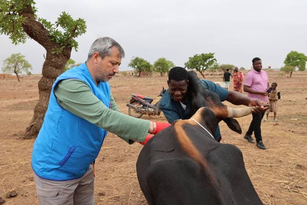 Eid al-Adha preparations in Burkina Faso OUAGADOUGOU, BURKINA FASO - MAY 26: Volunteer Turkish veterinarians of Turkiye Diyanet Foundation (TDV) examine livestock to assess health compliance ahead of Eid al-Adha in Ouagadougou, Burkina Faso on May 26, 2026. Besir Kelleci Anadolu Ouagadougou Burkina Faso. Editorial use only. Please get in touch for any other usage.  Copyright: x2026xAnadoluxBesirxKellecix