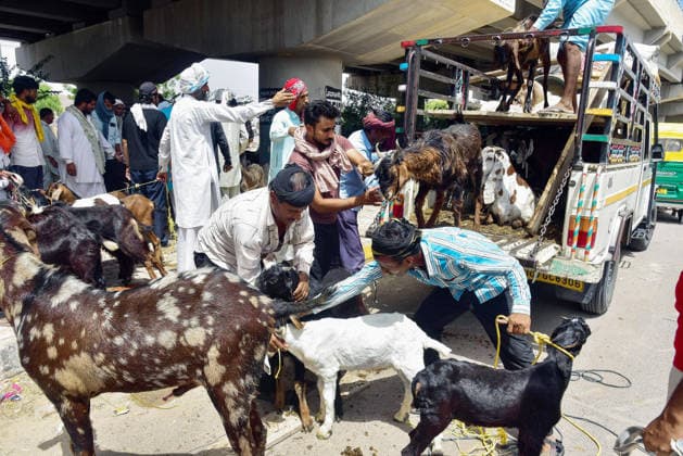 Sacrificial goats on display ahead of the Eid al-Adha festival Bikaner, May 26 (ANI): Goats are displayed for sale at a livestock market ahead of the Eid al-Adha festival, in Bikaner on Tuesday. Bikaner Rajasthan India Copyright: xANIx ANI_20260526507