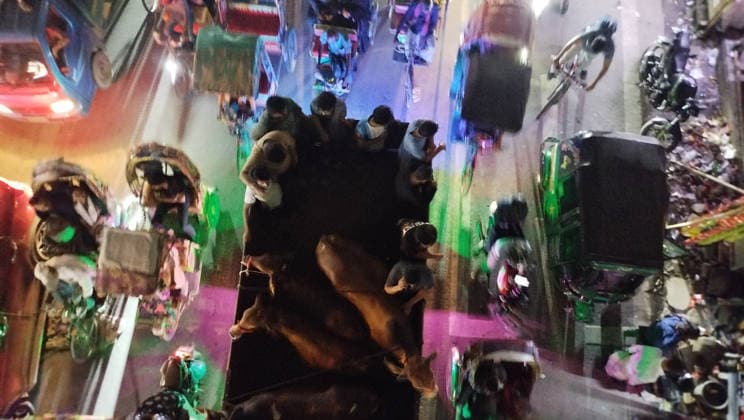 May 26, 2026, Dhaka, Bangladesh: Devotees carry sacrificial animals in a truck ahead of the Muslim festival Eid al-Adha in Dhaka. Dhaka Bangladesh - ZUMAh143 20260526_aap_h143_011 Copyright: xMDxMehedixHasanx