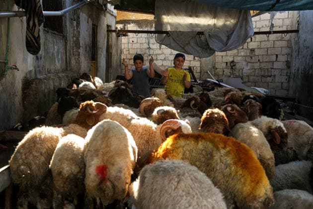 May 26, 2026, Beirut, Beirut, Lebanon: Lebanese children gesture to sheep at a local livestock market in Beirut on the eve of Eid al-Adha, that marks the annual Muslim pilgrimage. Muslims across the world slaughter animals to commemorate Prophet AbrahamÃ¢â‚¬â ¢s willingness to sacrifice his son. LebanonÃ¢â‚¬â ¢s ever-spiraling economic crisis, political instability and war in the south means that celebrating Al-Adha has become an afterthought for many with more than one million people are displaced and many families struggle in poverty. The continuous stress of war and economic hardship takes a toll on mental health. For many, the spirit of celebration is dampened by anxiety, grief, and uncertainty about the future. Beirut Lebanon  - ZUMAn313 20260526_zip_n313_002 Copyright: xMarwanxNaamanix