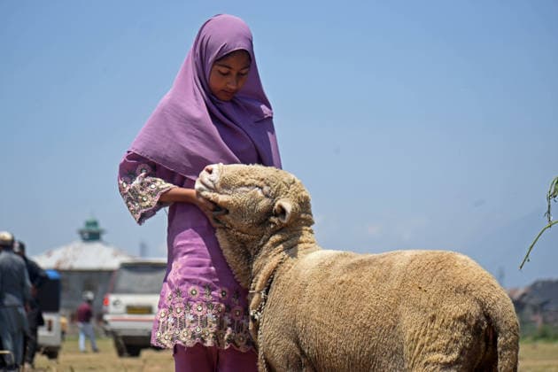 A young woman strokes a sheep at a livestock market, where it will be slaughtered and its meat distributed among family, friends, and those in need as part of the Eid al-Adha festival, also known as the Festival of Sacrifice, which commemorates the Prophet Ibrahim s willingness to sacrifice his son as an act of obedience to God. on May 26, 2026, in Srinagar, India. Srinagar India  - ZUMAe321 20260526_zia_e321_015 Copyright: xDanishxShowkatx