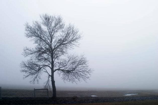 Alone Copyright: xleafx Panthermedia66278266.jpg