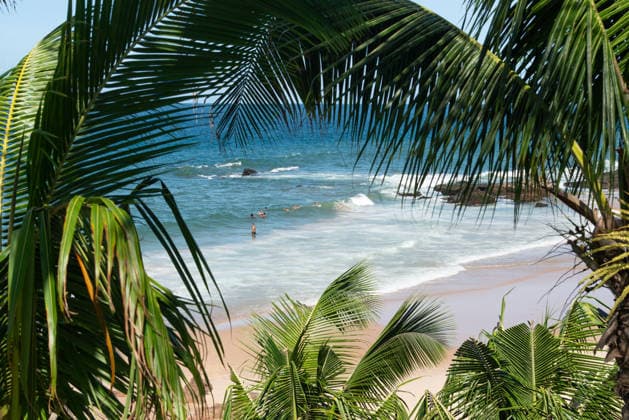 Salvador, Bahia, Brazil - May 3, 2026: Green coconut palm leaves in the foreground with bathers enjoying the ocean waves in the background in Bahia, Brazil. Salvador Bahia Brazil Copyright: xThalesxAntoniox 2026-05-03 Rio Vermelho 057