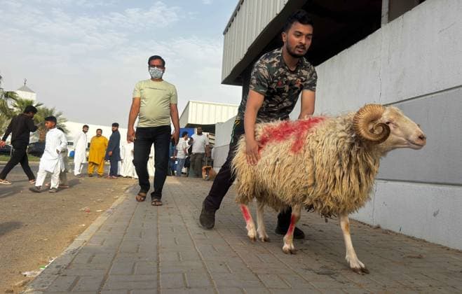 (260527) -- CAPITAL GOVERNORATE, May 27, 2026 -- A man brings livestock for Eid al-Adha sacrifice to a slaughterhouse in Capital Governorate, Kuwait, May 27, 2026. (Photo by Xinhua) KUWAIT-CAPITAL GOVERNORATE-EID AL-ADHA-LIVESTOCK-SLAUGHTERHOUSE Asad 